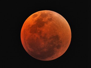 MoonEclipse80ED17x1sec800ISO28Aug07DarkedRegistaxSingleWavedWeb800.jpg