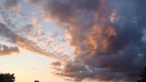 DSC06081.JPG
