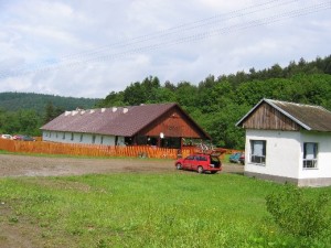 850.jpg