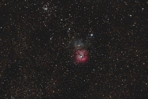trifid.jpg