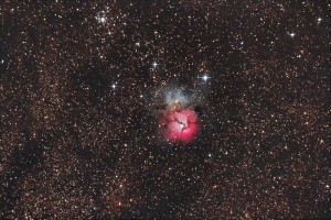 trifid!.jpg