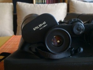 20110807078.jpg