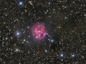ic5146_2.jpg