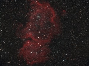 IC1848_FINAL1.jpg