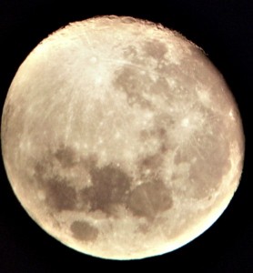 o910.JPG