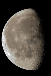 DSC_8113_r.jpg