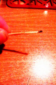 IMAG0052.jpg