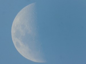 2012-02-29 14.30.58.jpg