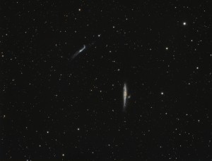 NGC4631_LRGB_FINAL3.jpg
