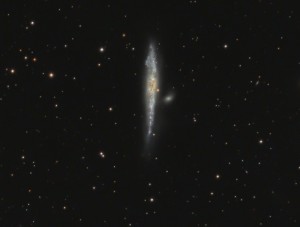 NGC4631_LRGB_FINAL3_CROP.jpg