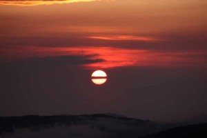 IMG_9787.JPG