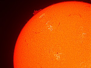 zwardon_sun_2.jpg