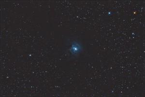 iris1.jpg