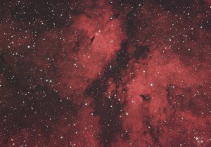 IC1318_FINAL1_AE.jpg
