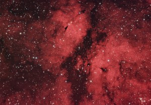 IC1318_FINAL1_AE1.jpg