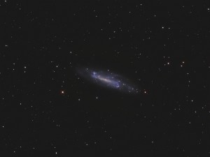 NGC4236_FINAL6_AE.jpg