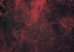 IC1311_FINAL5_AE.jpg