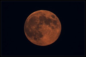 moon1.jpg