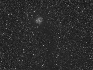 IC5146_L_FINAL3.jpg