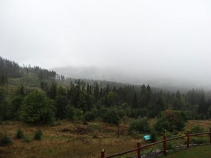DSC01995.jpg