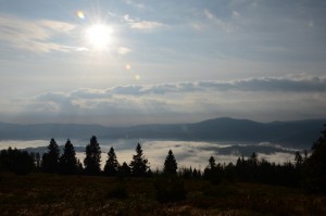 DSC_2768.JPG