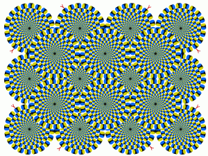 zoptic6.gif