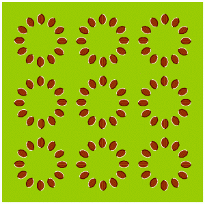 zoptic10.gif
