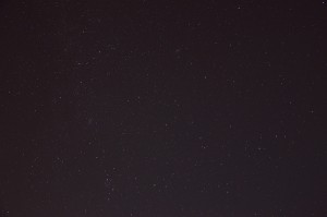 DSC_1924a.jpg
