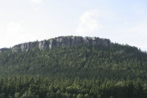 _MG_3682.jpg