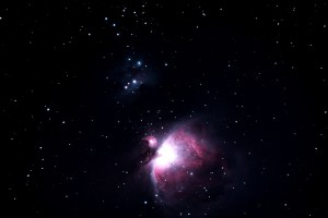 m42 mix1.jpg