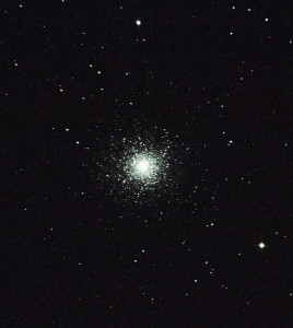 jodłowska m13.jpg