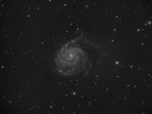 M101_L_FINAL4.jpg